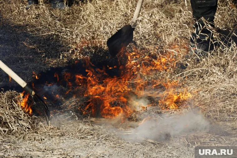 Власти Курганской области заплатят за помощь в выявлении экологических нарушений и виновников пожара