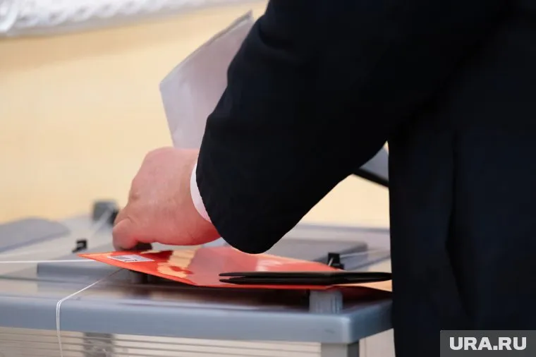 В выборах участвуют 11 кандидатов