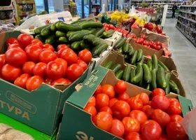 Фотография из галереи