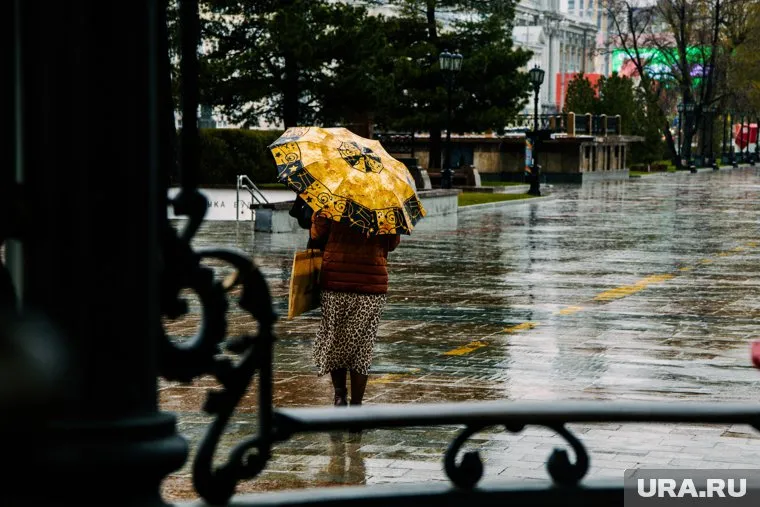 Несмотря на дождливый день, температура воздуха в Тюмени будет достигать до 25 градусов