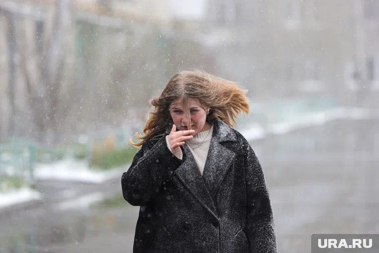 Снег выпал на севере области, а также в столице