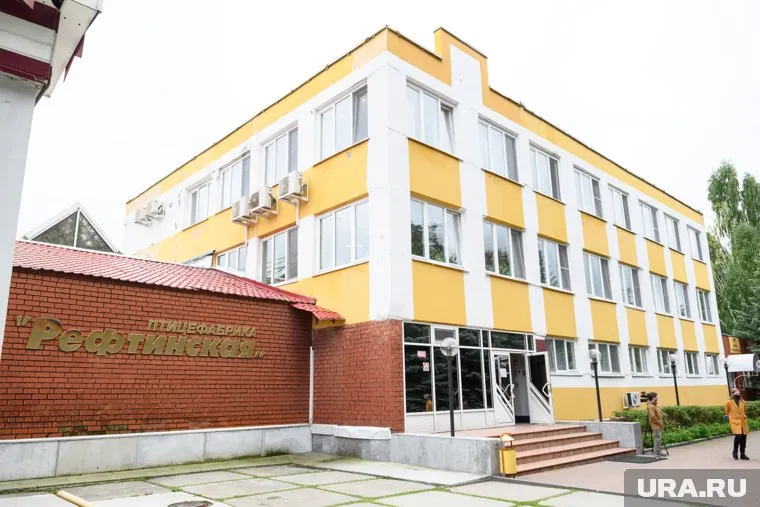 Руководство «Рефтинской» просит провести проверку в отношении директора комбината, который поставляет птицефабрике комбикорм