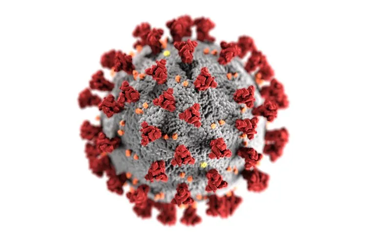 Официальноая визуализация вируса Covid-19. Москва