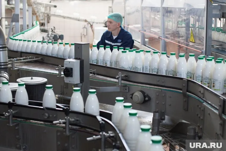 Курганцам не хватает молока