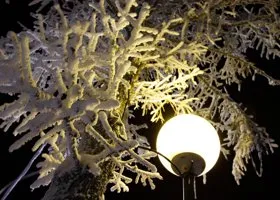 В Нижневартовске появились новые системы освещения с дистанционным управлением