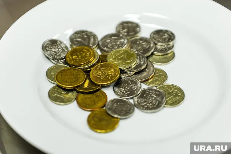 15,3 млн человек в России оказались за чертой бедности