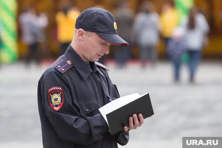 Заявление Ирины Грудининой поступило в работу