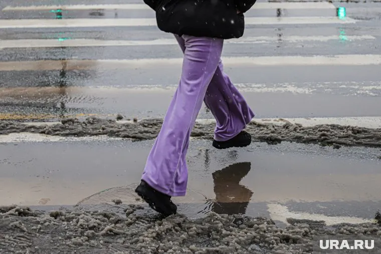 В Росси ожидаются осадки в виде дождя и малое количество снега, отметил Вильфанд