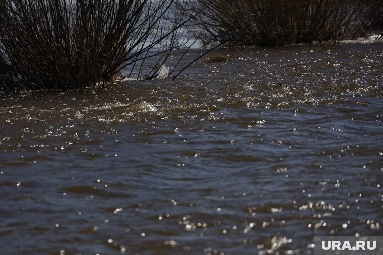 Половодье в Челябинской области еще не закончилось (архивное фото)