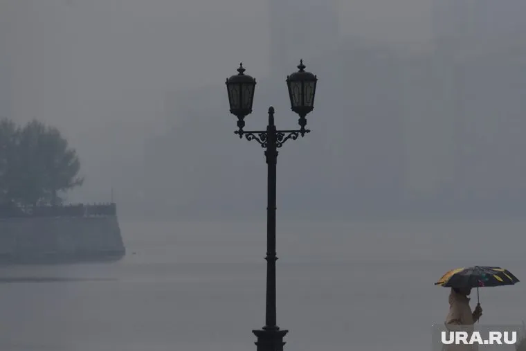 Смог из ХМАО добрался до Надымского района