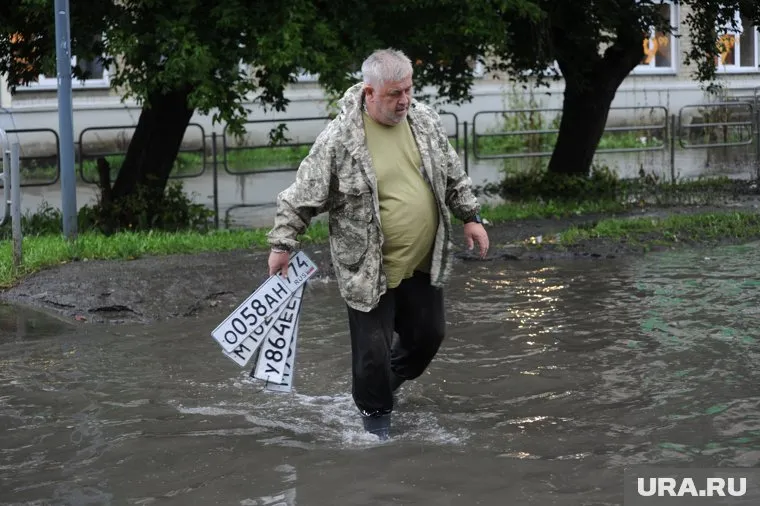 Сургутяне по всему городу находят автомобильные номера