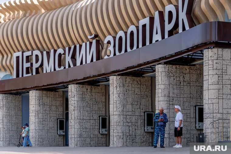 Право на бесплатный вход также предоставляется одному сопровождающему лицу