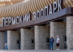 Фотография из галереи