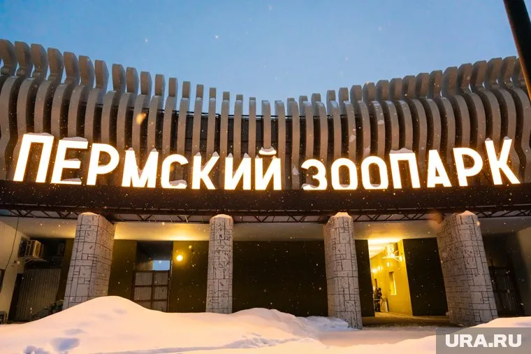 Пермский зоопарк начал готовиться к открытию
