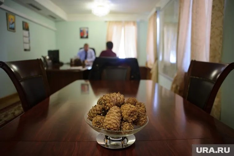 Дети ушли за шишками самовольно