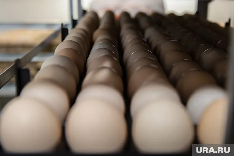 Россельхознадзор озвучил целый список претензий