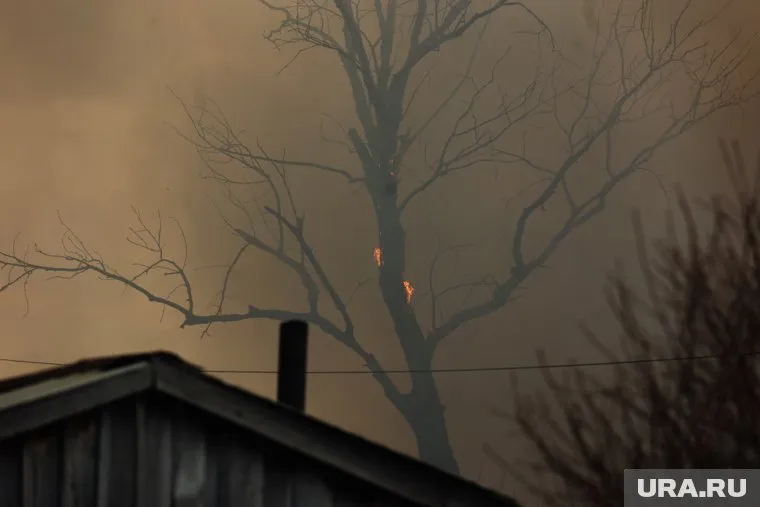 Курганские власти запросили допподдержку у МЧС России в тушении пожаров