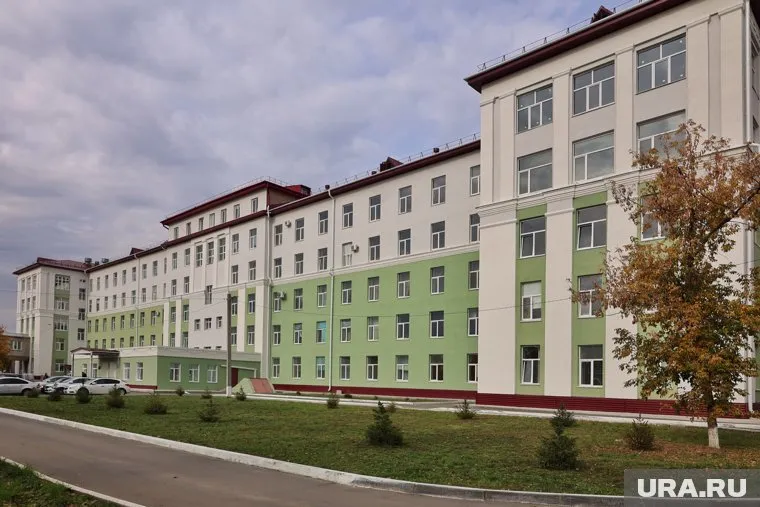 У Курганской областной больницы поставят еще один топиарий