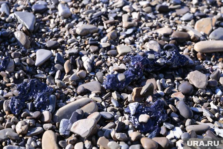 В Анапе 23 мая со дна собрали 88 мешков мазутной смеси, сообщиили в оперштабе Кубани