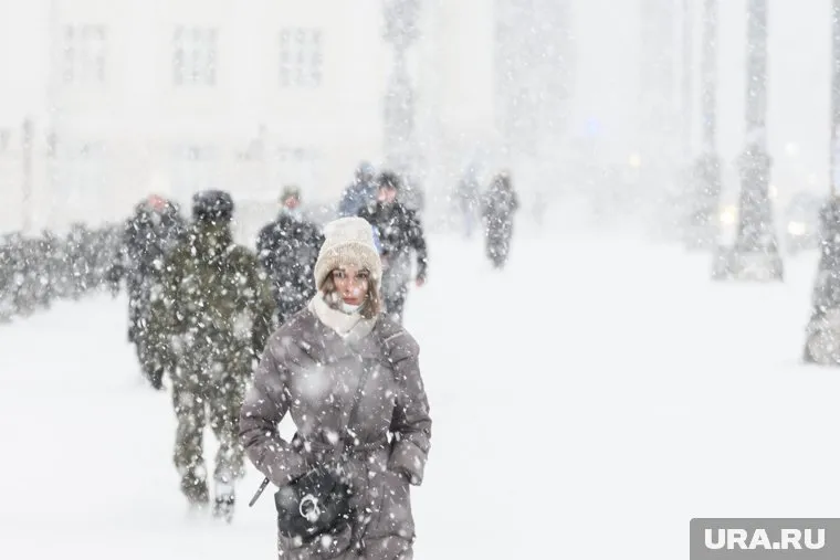 Москвичей предупредили об обильных снегопадах