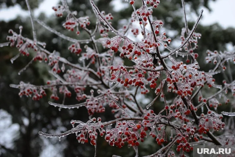 В ночь на 29 марта в области пройдут дожди со снегом, на дорогах возможна гололедица