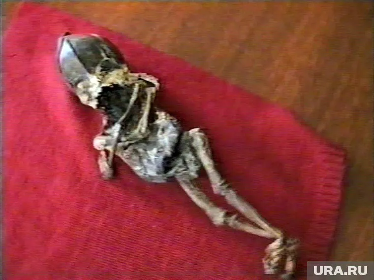 Премьера спектакля про Алешеньку назначена на 1 июня