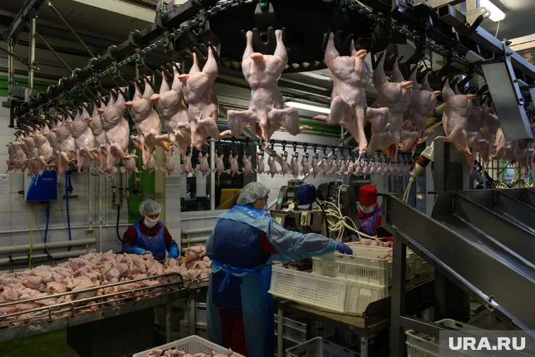 За последний год на предприятии не внесена ни одна запись о ветеринарной проверке продукции