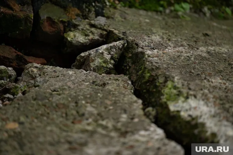 В Кемеровской области случилось землетрясение с высокой магнитудой