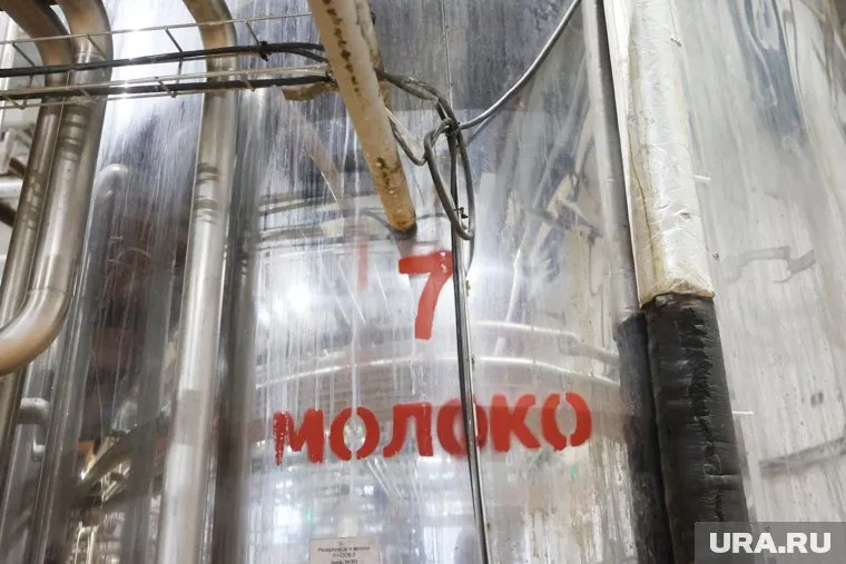 Тюменский завод «Золотые луга» производил кисломолочные продукты из сырья, происхождение которого не установлено