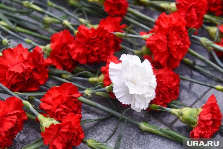 В Нижней Тавде открыли памятник участникам СВО