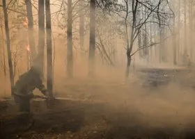 Фотография из галереи