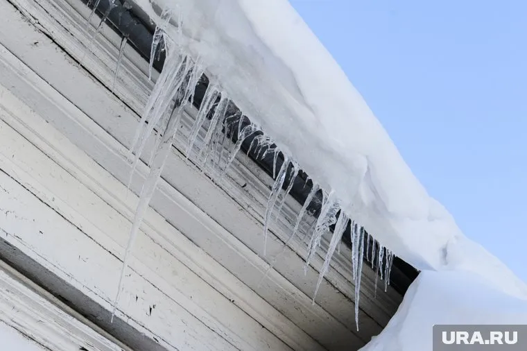 В отношении лиц, допустивших нарушения, назначена служебная проверка