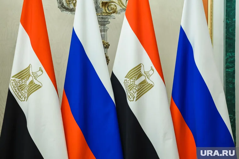 Россия и Египет могут проводить совместные мероприятия боевой подготовки регулярно