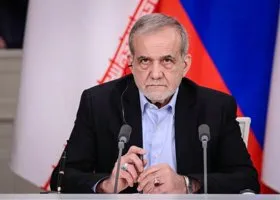 Фотография из галереи