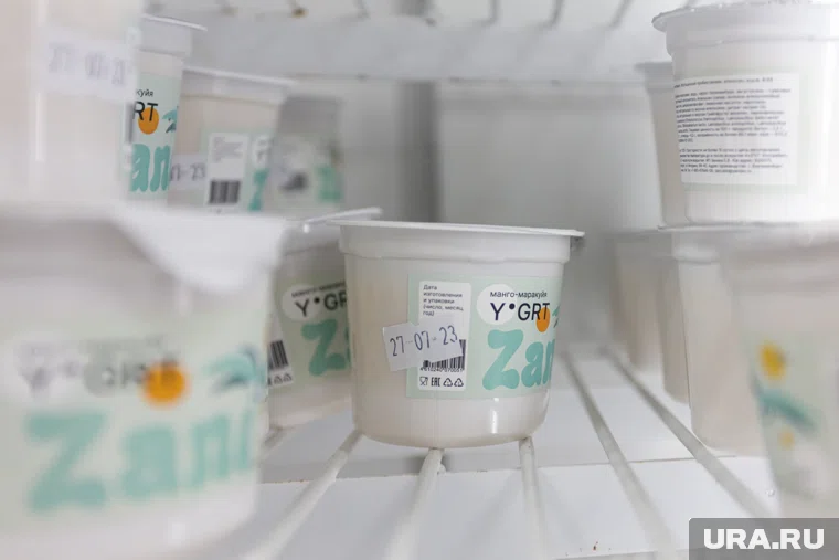 Во время пребывания на фестивале мужчина съел испорченный молочный продукт