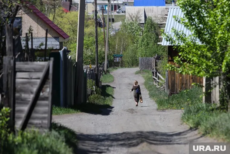 О погромах сообщили владельцы участков в селе Кетово (архивное фото)