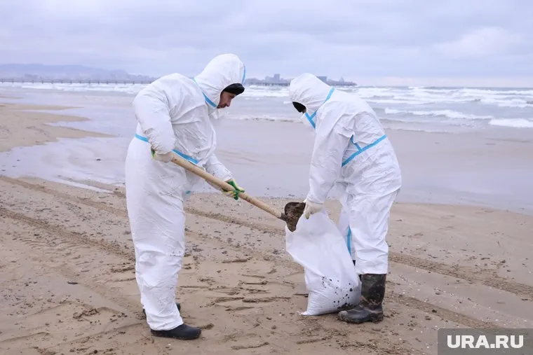Ямальские волонтеры помогают очищать Черное море от мазута (архивное фото)