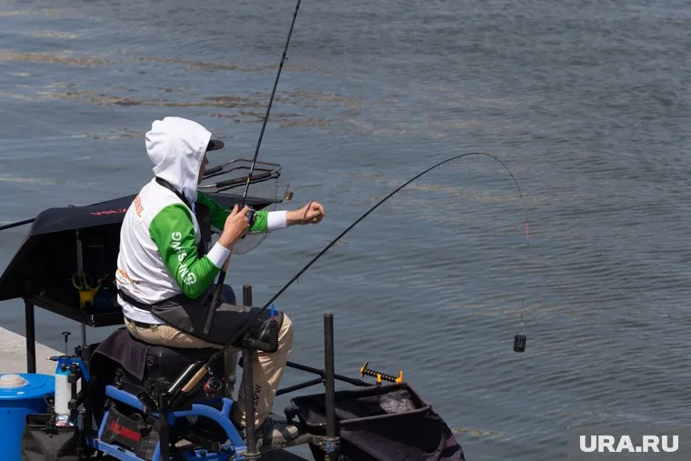 Весной рыбу можно поймать в зарослях растений или корнях деревьев