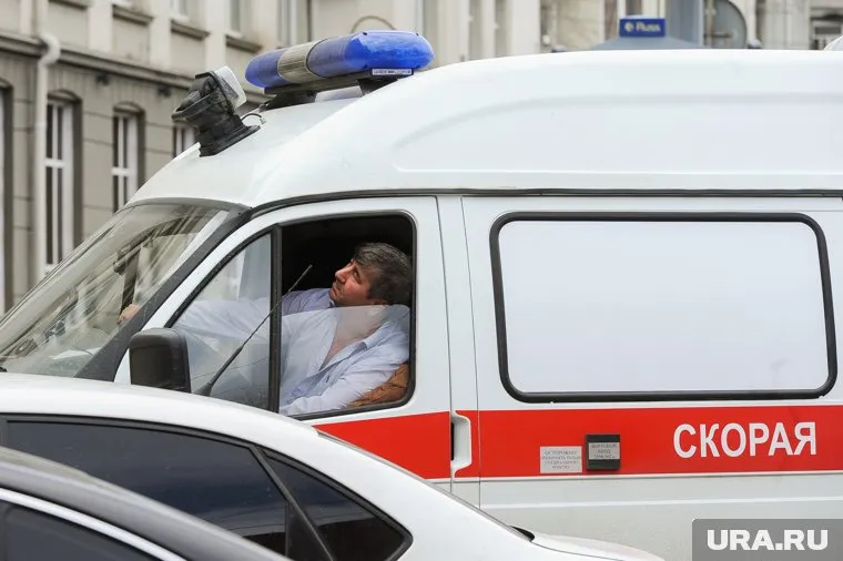 ООО «Новоскор», ее директор и учредитель Валерий Полевой включен в реестр недобросовестных поставщиков