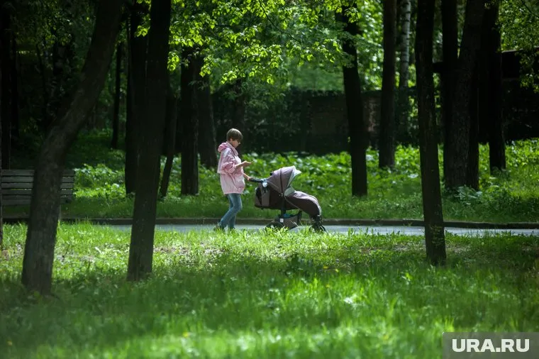 В ГД считают, что необходимо лучше следить за семьями и помогать им