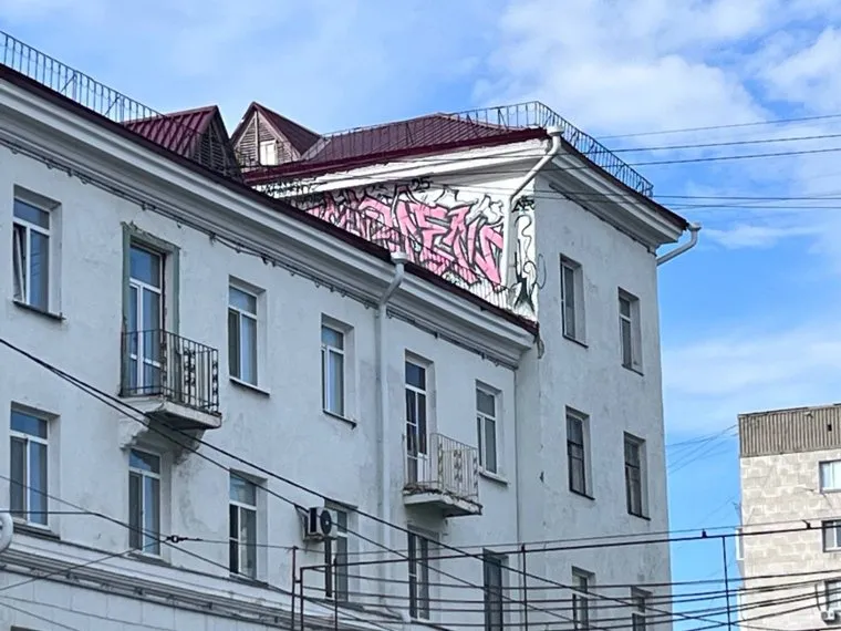 Курганский Бэнкси оставил изображение кошки на крыше многоквартирного дома