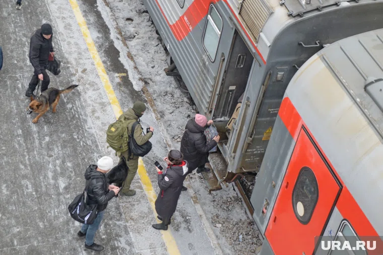 Инцидент произошел в ноябре 2024 года