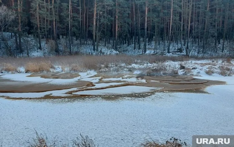 Местные жители уверены, что отходы сливают уже целый год