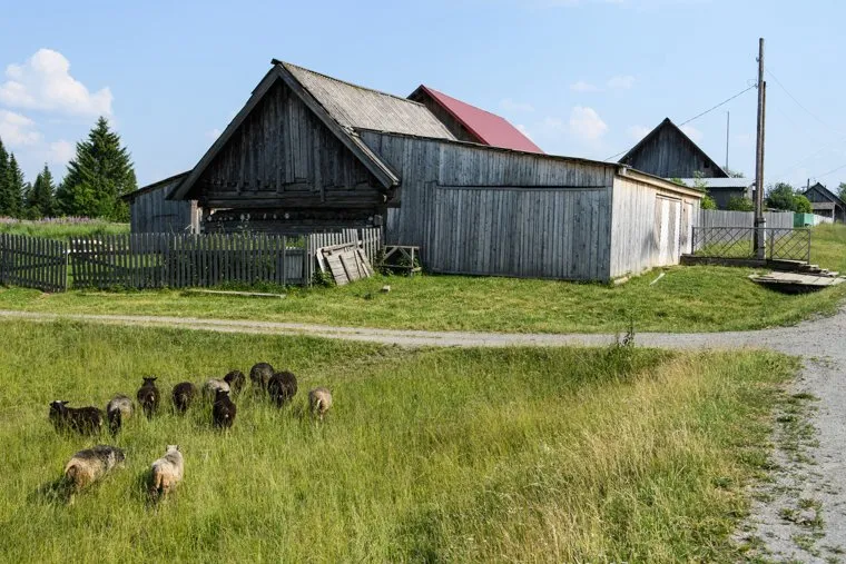 Старообрядческие села Роща и Платоново и деревня Симонята. Свердловская область, Шалинский район