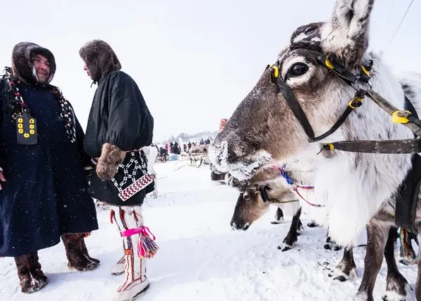 Фотография из галереи