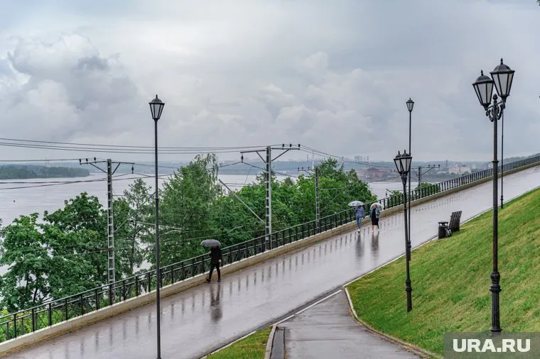 В первую неделю июля будет прохладно и мокро