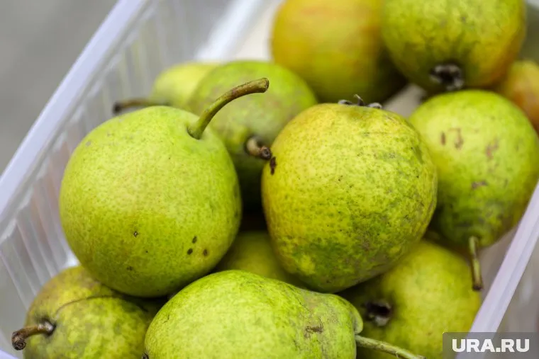 Ранние сорта уральских груш уже продаются на рынках