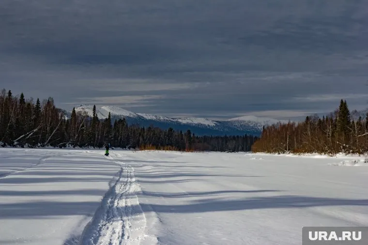 Джипы проехались по ООПТ «Южный лес»