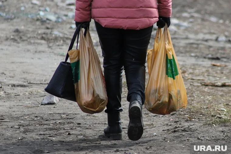 Кошелек находился в пакете с продуктами