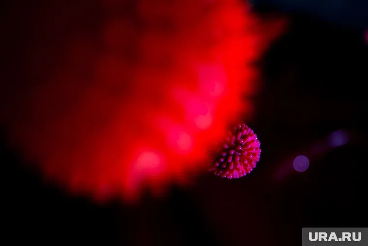 С начала пандемии в Тюменской области заразилось 146 человек